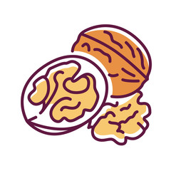 Walnut color line icon. Produces a desirable fruit with medicinal properties. Pictogram for web page, mobile app, promo. Editable stroke.