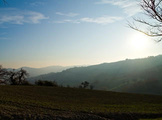 Paesaggio rurale marchigiano