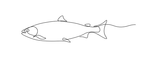Lachsfisch im Kunstzeichnungsstil mit durchgehender Linie. Minimalistische schwarze lineare Skizze auf weißem Hintergrund. Vektor-Illustration © GarkushaArt
