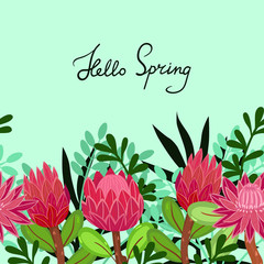 Greeting card with protea with the inscription hello spring. Vector graphics.