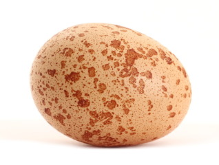 Egg isolated on white background