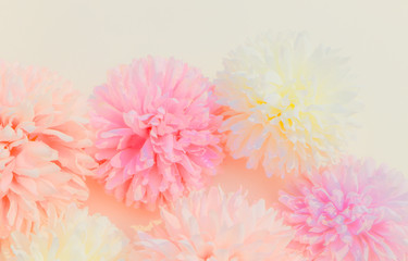 Beautiful abstract color purple and pink flowers on yellow background and white flower frame and pink leaves texture, white background, colorful colorful banner happy valentine