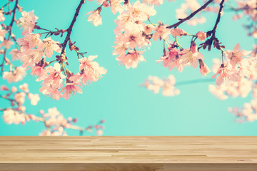 Naklejka na ściany i meble Wood table top on blur pink Japanese cherry blossom or Sakura flower background