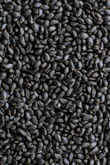 Basil seeds close up background. Macro. Raw dry organic grain used in drinks and food in Asia. Healthy superfood, ingredient for Veg, Keto cuisine. Also called tukmaria, sabja and falooda. Horizontal