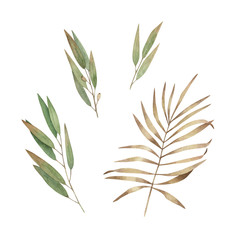 Watercolor floral set for wedding cards, invitations, Easter, birthday. Spring botanical illustration. Leaves branch