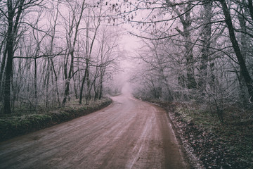 Fototapeta premium Landscape with beautiful fog. Dirt road go through on a mysterious winter forest, Magical and mystical atmosphere.
