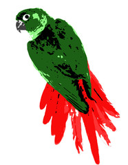 parrot vector