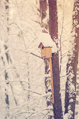 Birdhouse or nesting box hanging on a tree in a winter forest.