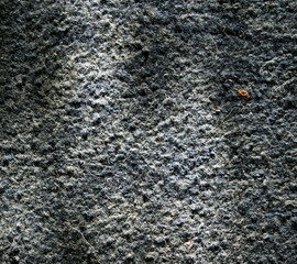 corpet texture