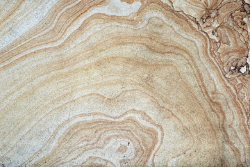 Wooden cross section of tree texture, wallpaper and background with unique pattern, close-up. Grunge rustic design, decoration and exterior or interior details concept