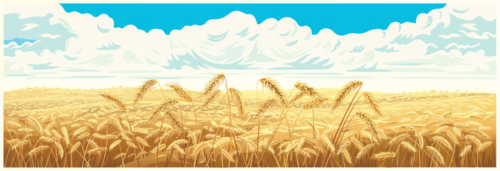Rural landscape with wheat field and a blue sky with clouds on background. Vector illustration. © Rustic