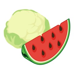 Diet food icon. Isometric illustration of diet food vector icon for web