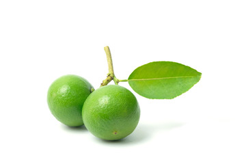 Fresh lime fruit with green leaf isolated on white background