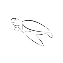 Vector of turtle on a white background, Animal. Pet. Easy editable layered  illustration. symbol. logo. icon