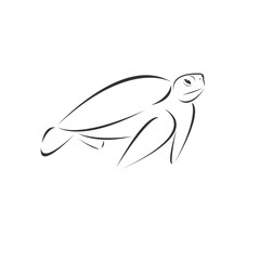 Vector of turtle on a white background, Animal. Pet. Easy editable layered  illustration. symbol. logo. icon