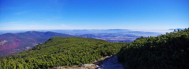 Panorama ze szlaku turystycznego na Babią Górę