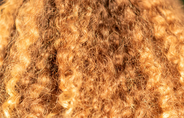 Close up on curly red hair