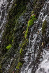 Fototapeta na wymiar McLean Falls. Waterfall. Catlins New Zealand