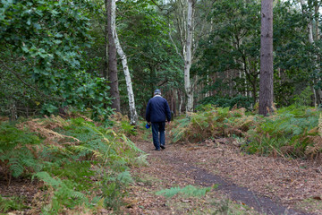 A middles aged man taking his dog for a walk through a forest trail