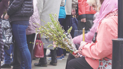 Woman holding pussy willow twigs for Christian church holiday Palm Sunday, copy space © HENADZY