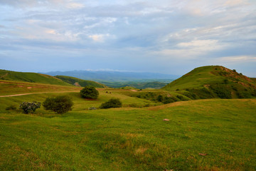 Obraz premium Mountain valley with green trees in Turkestan region, Kazakhstan, Central Asia