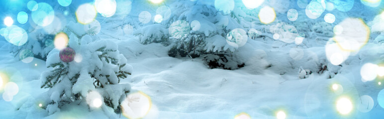 Red Christmas ball on the fir tree in winter forest. Christmas background.