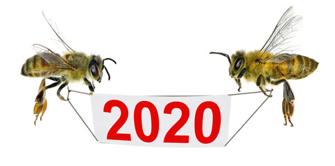 Two bees holding a banner with figures of two thousand twenty (2020 New Year). Isolated on a white background