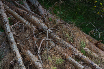 Alto Adige travel outdoor daylight