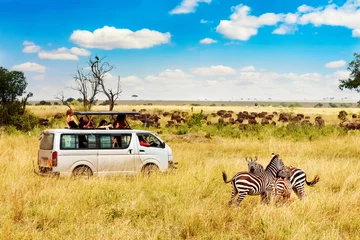 Poster Safari concept. Zebra couple with safari car in african savannah. Masai Mara national park, Kenya. © Nikolay N. Antonov