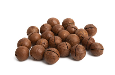 Macadamia Walnut Isolated