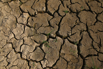 Warning of global warming : Impossible farming