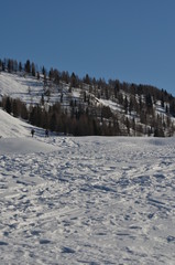 Children slide down hills