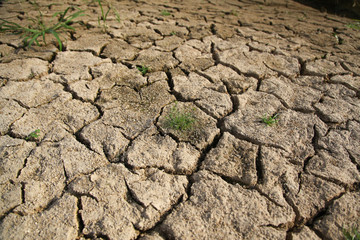 Warning of global warming : Impossible farming