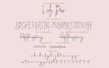 Fototapeta Handwritten script font vector alphabet Lady Boss set obraz