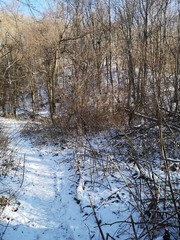 Snowy track on the Hungarian blue trail in January