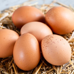 Close-up view of raw chicken eggs on hay.