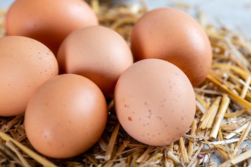 Close-up view of raw chicken eggs on hay.