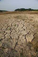 Warning of global warming : Impossible farming