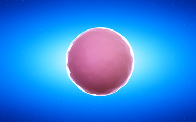 3d rendered medical illustration of a fertilied egg cell