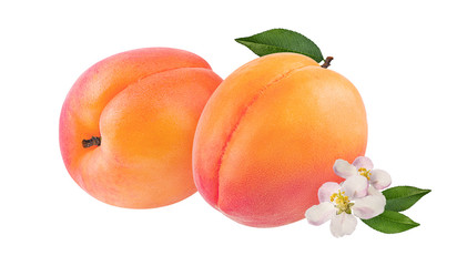 Naklejka na ściany i meble apricot isolated on white background
