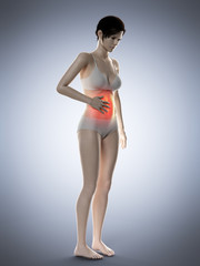 3d rendered medically accurate illustration of a woman having a painful belly