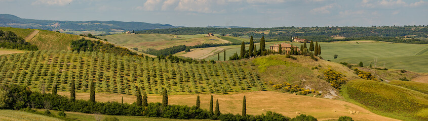 Tuscany - Landscape panorama, hills and meadow, Toscana - Italy