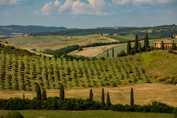 Fototapeta premium Tuscany - Landscape panorama, hills and meadow, Toscana - Italy
