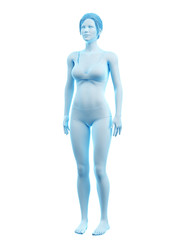 3d rendered medically accurate illustration of a woman