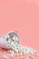 Small white flowers in a bucket on a pink background