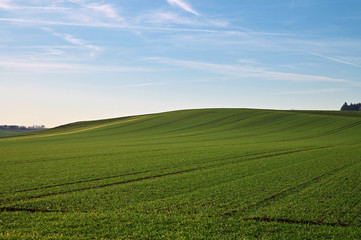 Fototapeta na wymiar Feld Landschaft Landwirtschaft Hintergrund Hügel Wiese