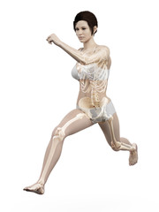 3d rendered medically accurate illustration of a woman running