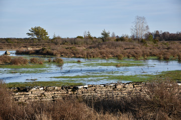 Flooded landscape by an old dry stone wall