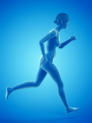 Fototapeta na wymiar 3d rendered medically accurate illustration of a woman running