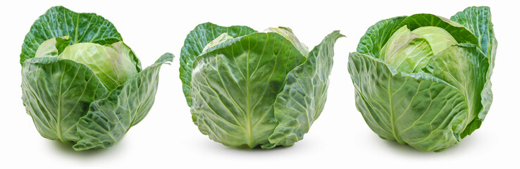 Obraz premium Set of Green Cabbage vegetable isolated on white background